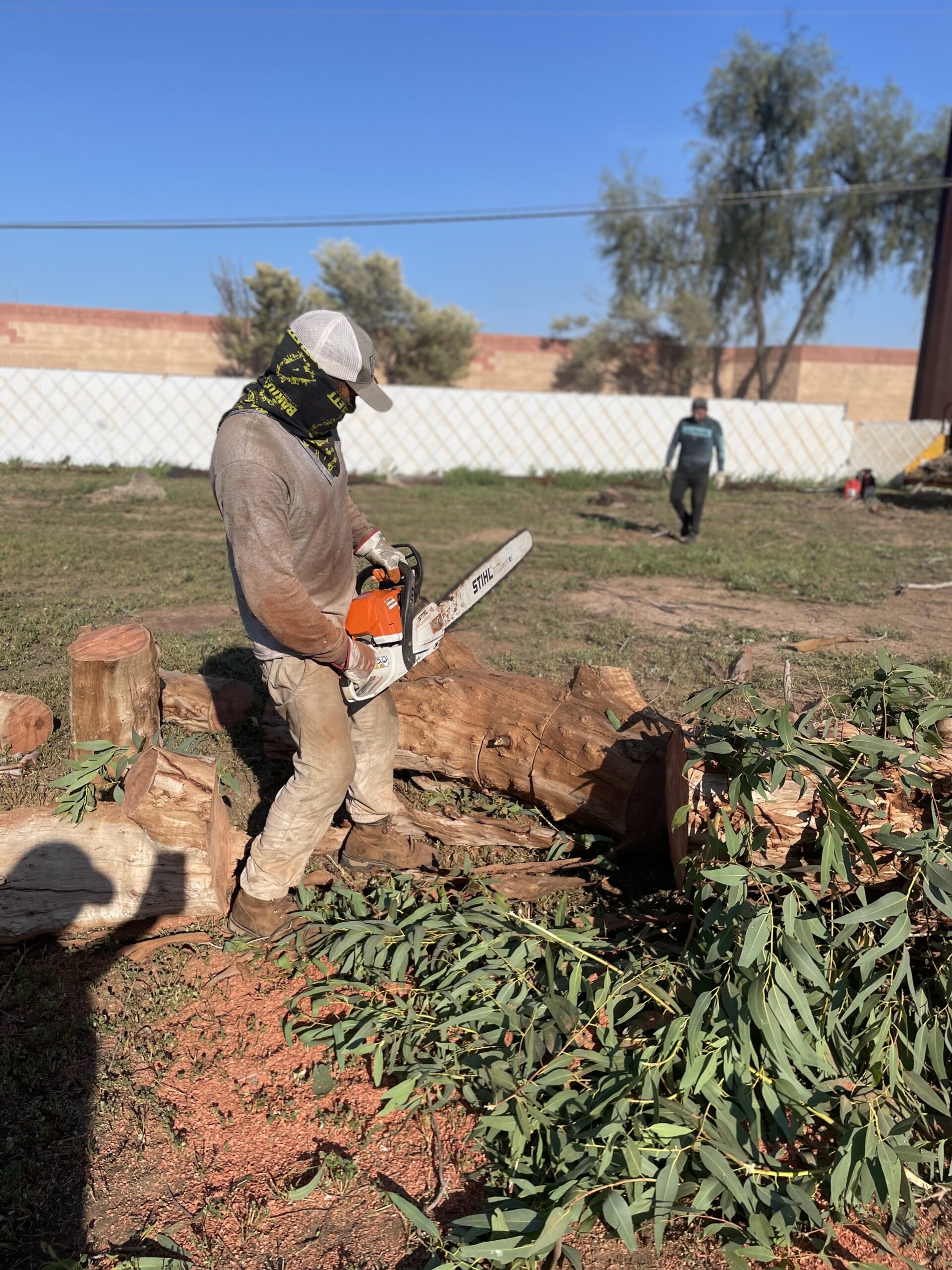 Shady Deal Tree Care Services business image