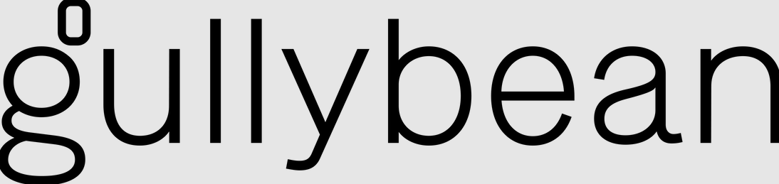 GullyBean business image