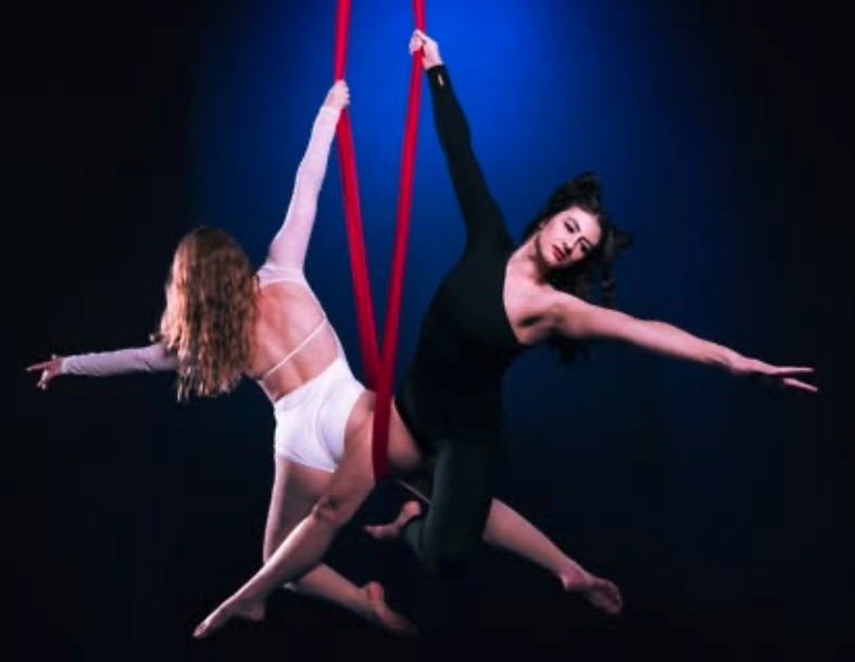Flight Aerial & Pole Dance business image