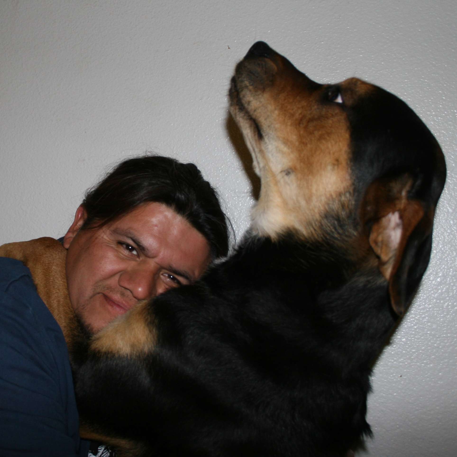 Valentin Dog and House Sitting business image